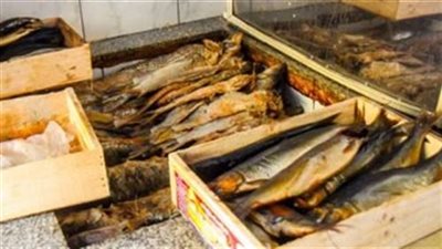 ضبط 1.5 طن رنجة وكبدة فاسدة بعين شمس 