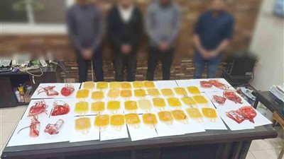 سقوط عصابة بيع أكياس الدم والبلازما بالمنوفية