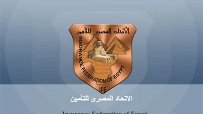 تعطل العمل بشركات التأمين يومي الأحد والإثنين المقبلين