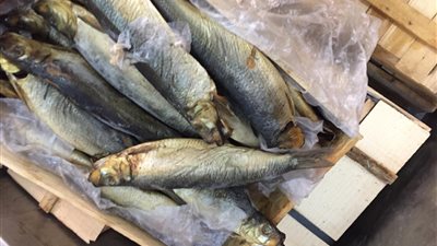 قبل شم النسيم.. ضبط كمية من السردين والرنجة الفاسدة بالدقهلية