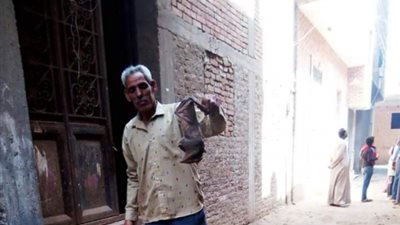ظهور مخيف للخفافيش بالقليوبية.. بقرية الحزانية