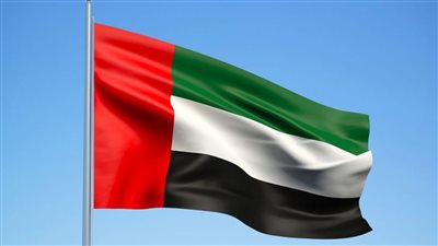 الإمارات تبحث الإجراءات العملية لمواجهة الآثار الاقتصادية لكورونا