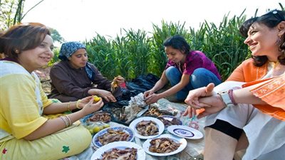 تعرف على قرارات مجلس الوزراء بشأن حظر شم النسيم