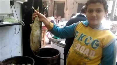 قبل شم النسيم.. تعرف على أسعار الرنجة والفسيخ في البحيرة (صور)