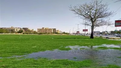 جهاز أكتوبر: غمر الحدائق بالمياه لمنع استغلالها بشم النسيم
