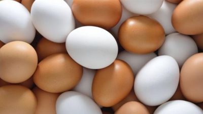 أسعار البيض الأورجانيك فى شم النسيم