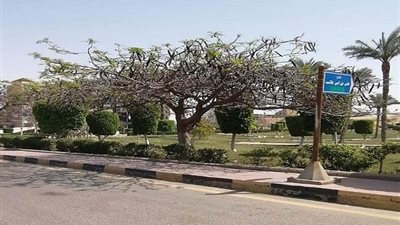 سكان مدينة 15 مايو ملتزمون بالبقاء فى المنزل للوقاية من 