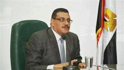 أستاذ جامعي: الإصلاح الاقتصادي جعل مصر أكثر قدرة على صد كورونا (فيديو)