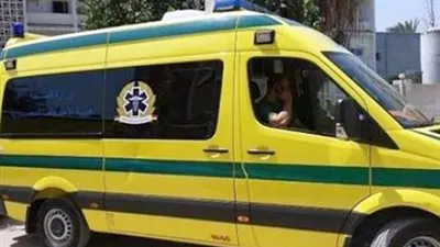 إصابة طفلة بارتجاج بالمخ إثر سقوطها من علو في الدقهلية