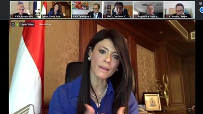 مصر تشارك في مؤتمر صندوق 