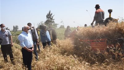 محافظ بورسعيد: زيادة المساحة المنزرعة قمح  إلى 1500 فدانا