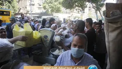 المصريون يتحدون 