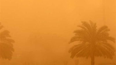 عاصفة ترابية تضرب سماء الأقصر.. وطوارئ بالمحافظة 