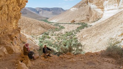 في عيد تحريرها.. كشف أثري جديد بسيناء (التفاصيل الكاملة) 