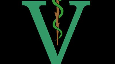 في اليوم العالمي للبيطريين.. تعرف على بداية الاحتفال بتلك المناسبة