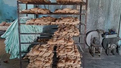 حملة مكبرة على الأسواق بمدينة سفاجا