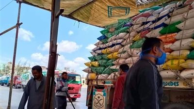 شون وصوامع كفر الشيخ تستقبل 29 ألف طن قمح (صور)