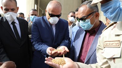 محافظ قنا: توريد 2770 طن قمح للصوامع والشون 