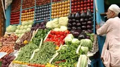 خلال كورونا .. مصر نجحت في تحقيق الاكتفاء الذاتي من الغذاء 