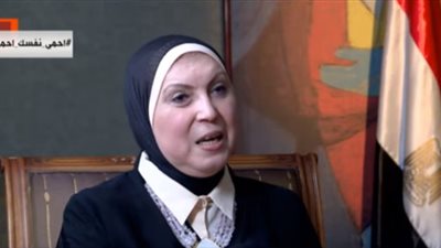 وزيرة الصناعة : لأول مرة ننجح في وضع تعريف موحد للمشروعات الصغيرة والمتوسطة (فيديو)