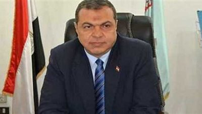 محمد سعفان: مصر بعمالها قادرة على تخطي كل الصعاب (فيديو)