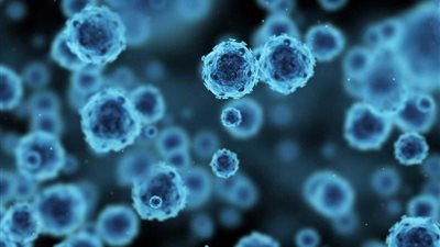 يهدد الحياة.. ما هو فيروس الهربس الجديد؟