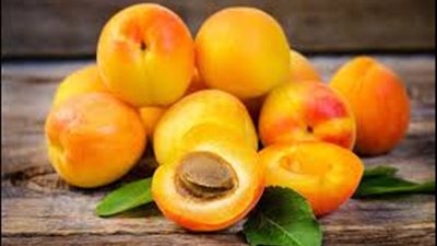 خبيرة طاقة تكشف سر 