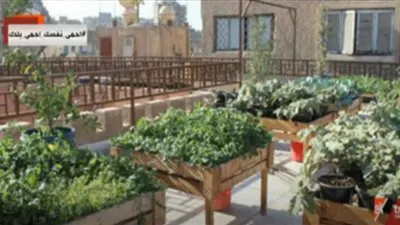 البيئة تنصح المواطنين بزراعة سطح المنزل: تكلف 200 جنيه (فيديو)