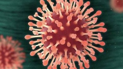 5 مليار مصاب.. توقعات علمية بإصابة ثلثي سكان الكوكب بفيروس كورونا