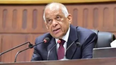 البرلمان يوافق مبدئيًا على قانون تنمية رسوم الدولة 