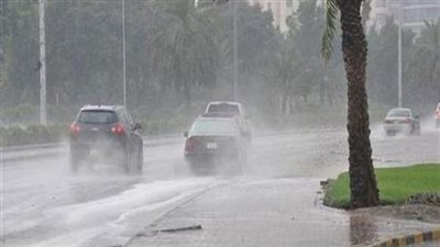 أمطار ورياح.. الأرصاد تُحذر من طقس اليوم (فيديو)