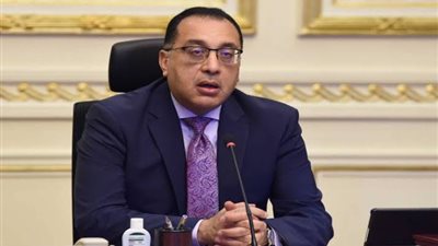 مجلس الوزراء: إتاحة الخدمات المميكنة وتوصيلها للمنازل