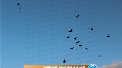 لكسر الملل.. 