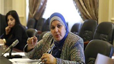 برلمانية: تطاول صفاء الهاشم على وزيرة الهجرة مهاترات لا تستحق الرد