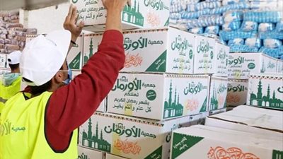 توزيع 3 آلاف كرتونة و50 طن لحوم على الأسر الأولى بالرعاية في الدقهلية 