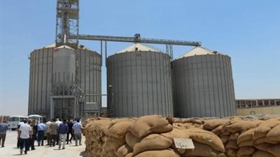 ميناء الإسكندرية: إجمالي مخزون الغلال لدينا 1.2 مليون طن رغم كورونا 