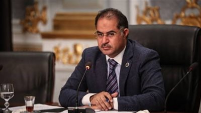 عاجل.. وكيل البرلمان يؤكد إصابة النائبة شيرين فراج بكورونا 