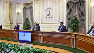 عاجل.. الحكومة تبدأ إعداد خطة التعايش مع فيروس 