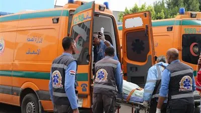 مصرع وإصابة 16 شخصا إثر تصادم سيارتين في البحيرة