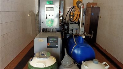 وزير الزراعة يوجه بضرورة التحسين الوراثي للماشية