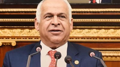 فرج عامر يطالب بتنفيذ مبادرة الرئاسة لحل مشكلات شركات التصدير 