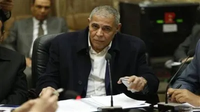 برلماني: جيش مصر الأبيض كشف مخطط الإخوان