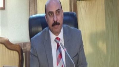 محافظ أسوان: 