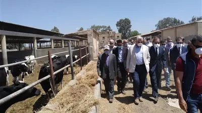 وزير الزراعة ومحافظ كفر الشيخ يشهدان حصاد محصول القمح (صور)