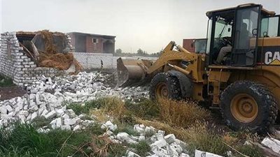 الزراعة: إزالة 10 آلاف حالة تعد على الأراضي (فيديو)