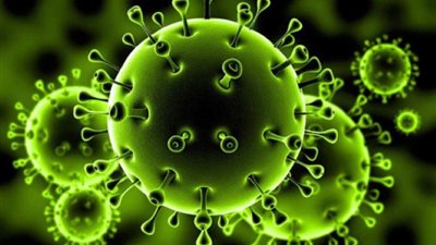 بالأرقام.. تعرف على أعداد الإصابات بفيروس كورونا في المحافظات (فيديو)