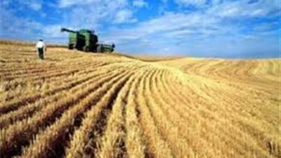 على رأسها فول الصويا.. الصين تعلق مشتريات السلع الزراعية الأمريكية