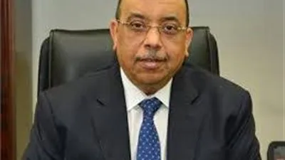 محمود شعراوى: برنامج التنمية المحلية يحقق أهدافه بصعيد مصر