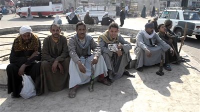 عمدة قرية الملاحة بالأقصر: توزيع 700 كرتونة مواد غذائية على العمالة اليومية