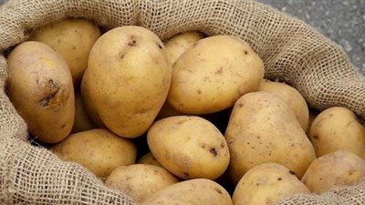 نقابة الفلاحين تكشف حقيقة وجود أزمات في محصول البطاطس